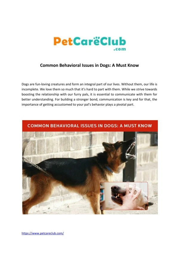 Common Behavioral Issues in Dog