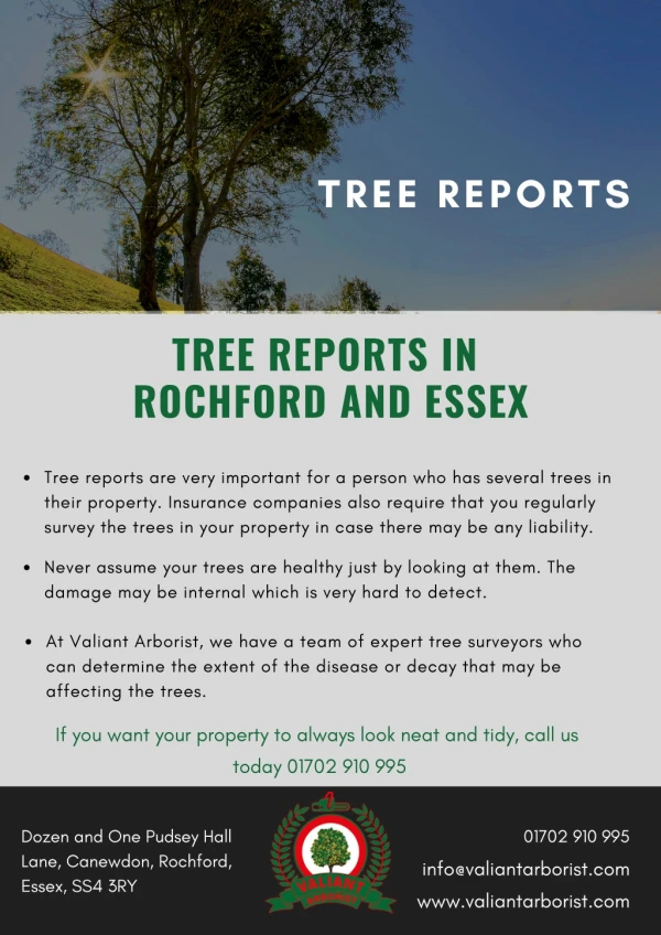 Tree Reports in Rochford and Essex
