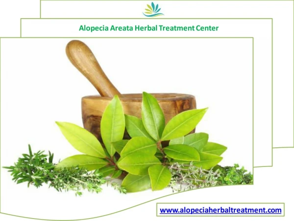 Alopecia Areata Herbal Treatment New Delhi