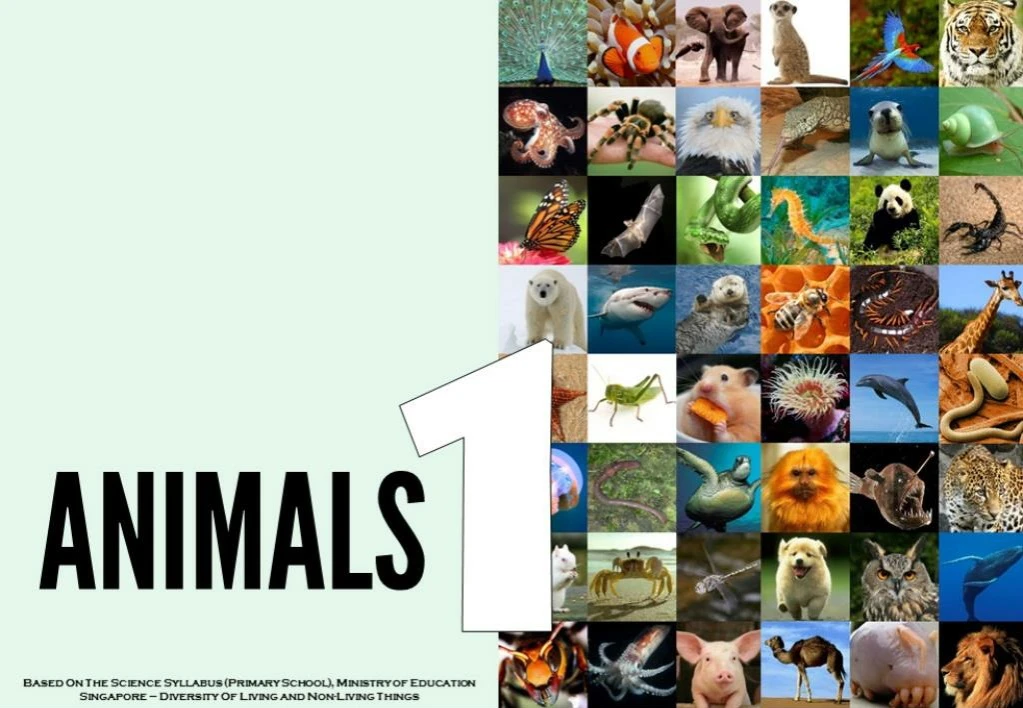 science all about animals