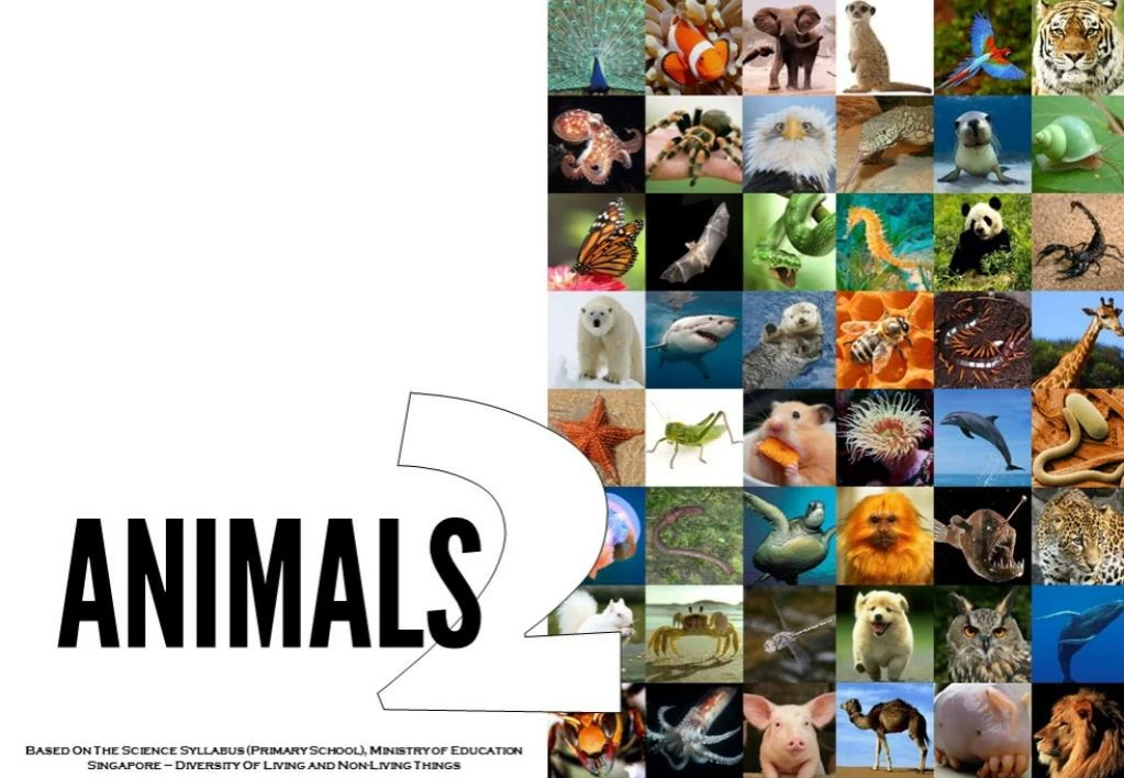science all about animals 2