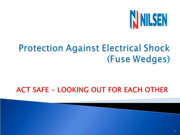 Protection Against Electrical Shock Fuse Wedges