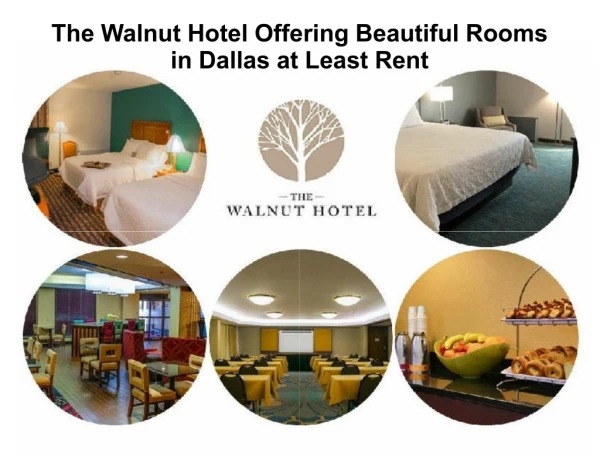 The Walnut Hotel Offering Beautiful Rooms in Dallas at Least Rent