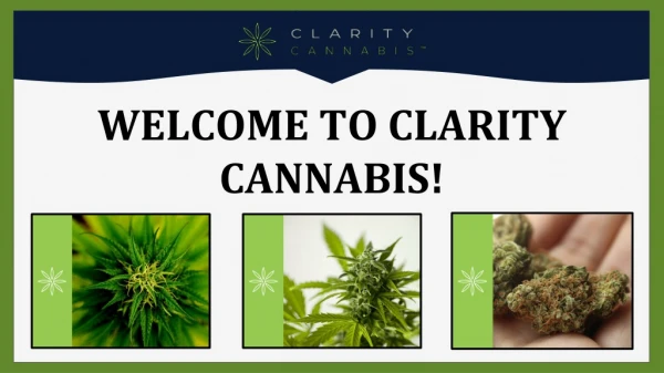 Basics of Bud | Clarity Cannabis