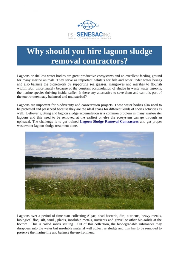 Why Should You Hire Lagoon Sludge Removal Contractors?
