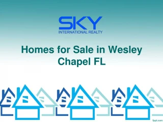 Homes for sale in wesley chapel fl