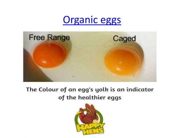 Organic Eggs - Happy hens
