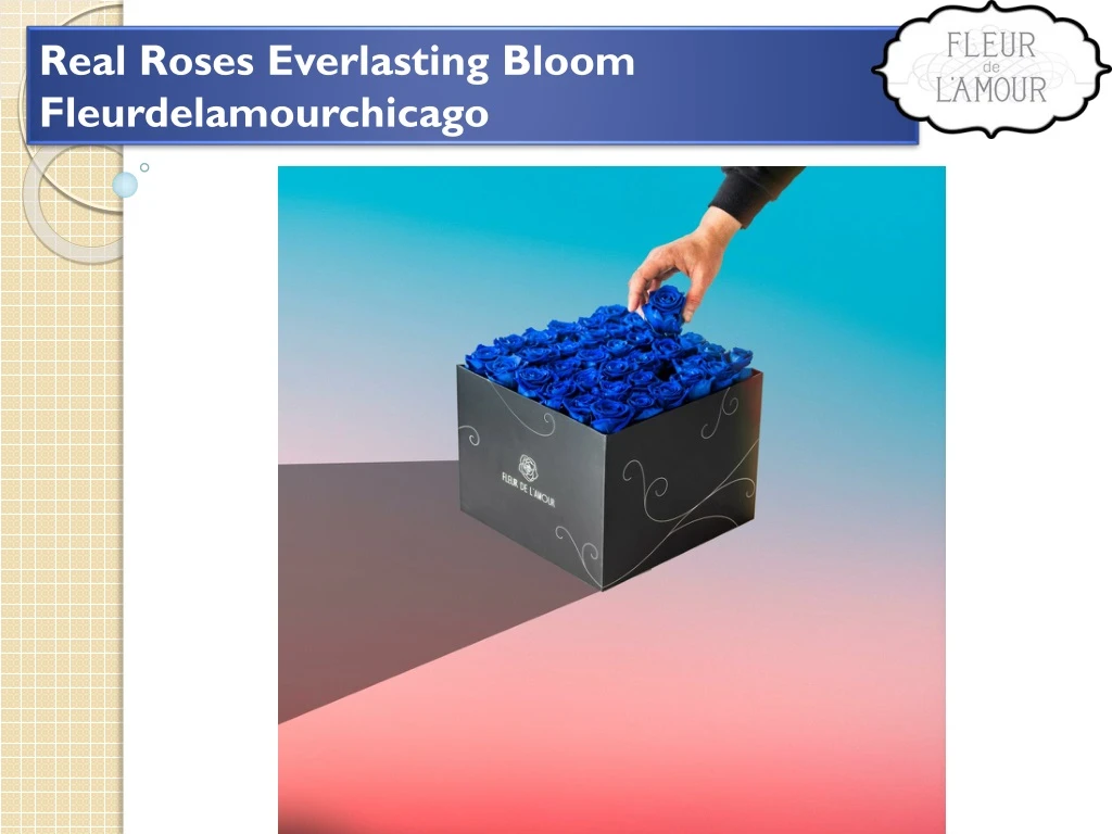 real roses everlasting bloom fleurdelamourchicago