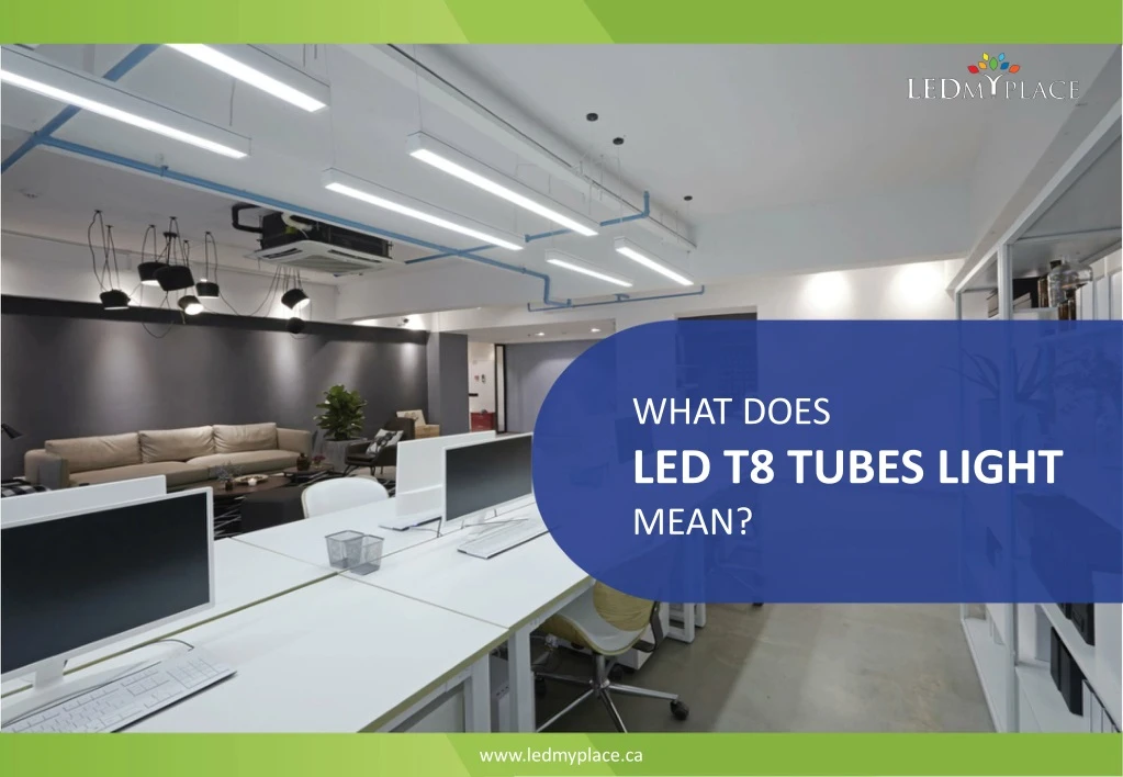 what does led t8 tubes light mean