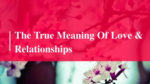 Explore The True Meaning Of Love And Relationships