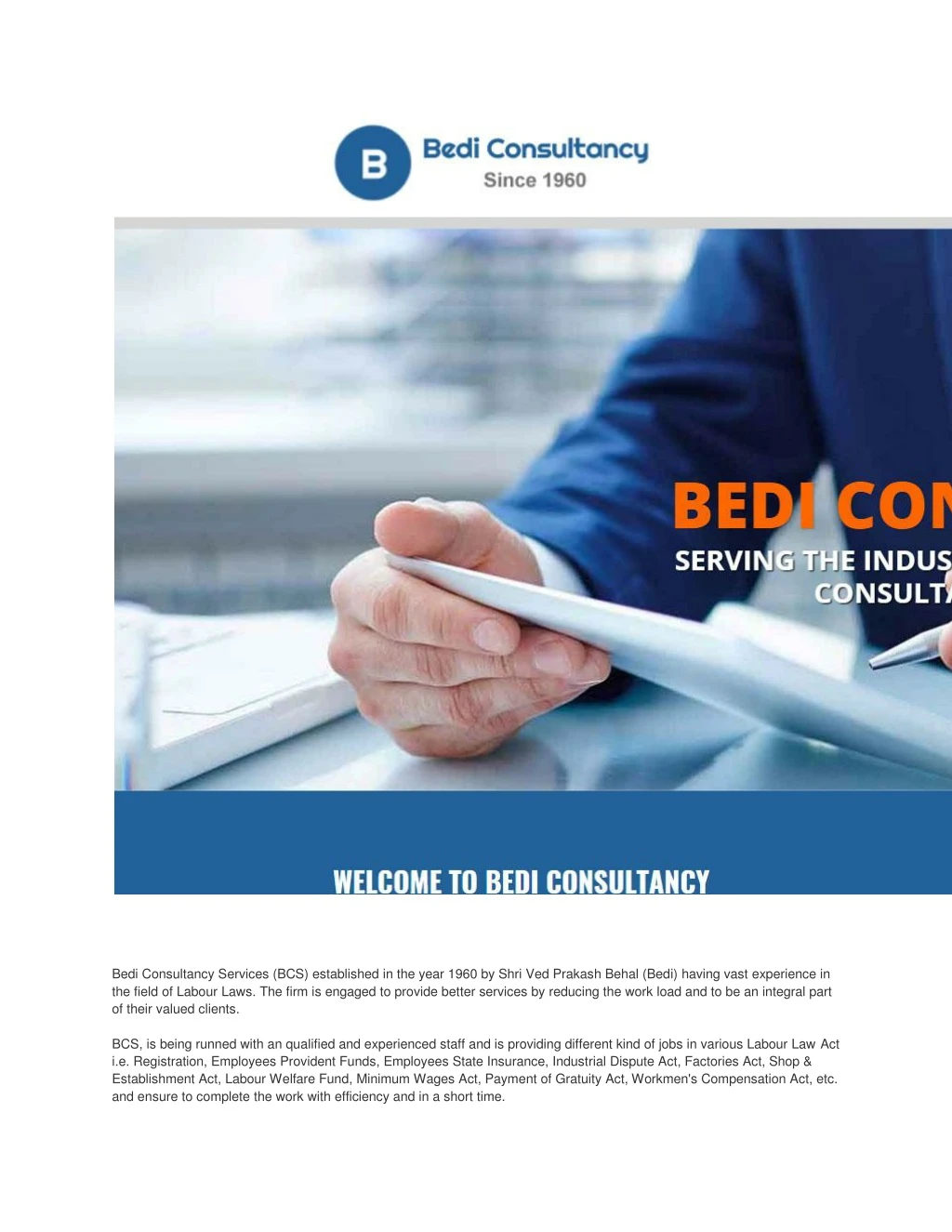 bedi consultancy services bcs established
