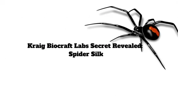 Kraig Labs Secret Revealed:Spider Silk