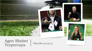 Agen Sbobet Terpercaya - slide 1
