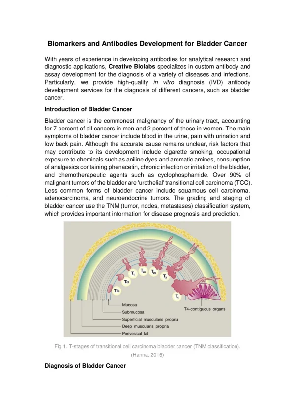 Biomarkers and Antibodies Development for Bladder Cancer