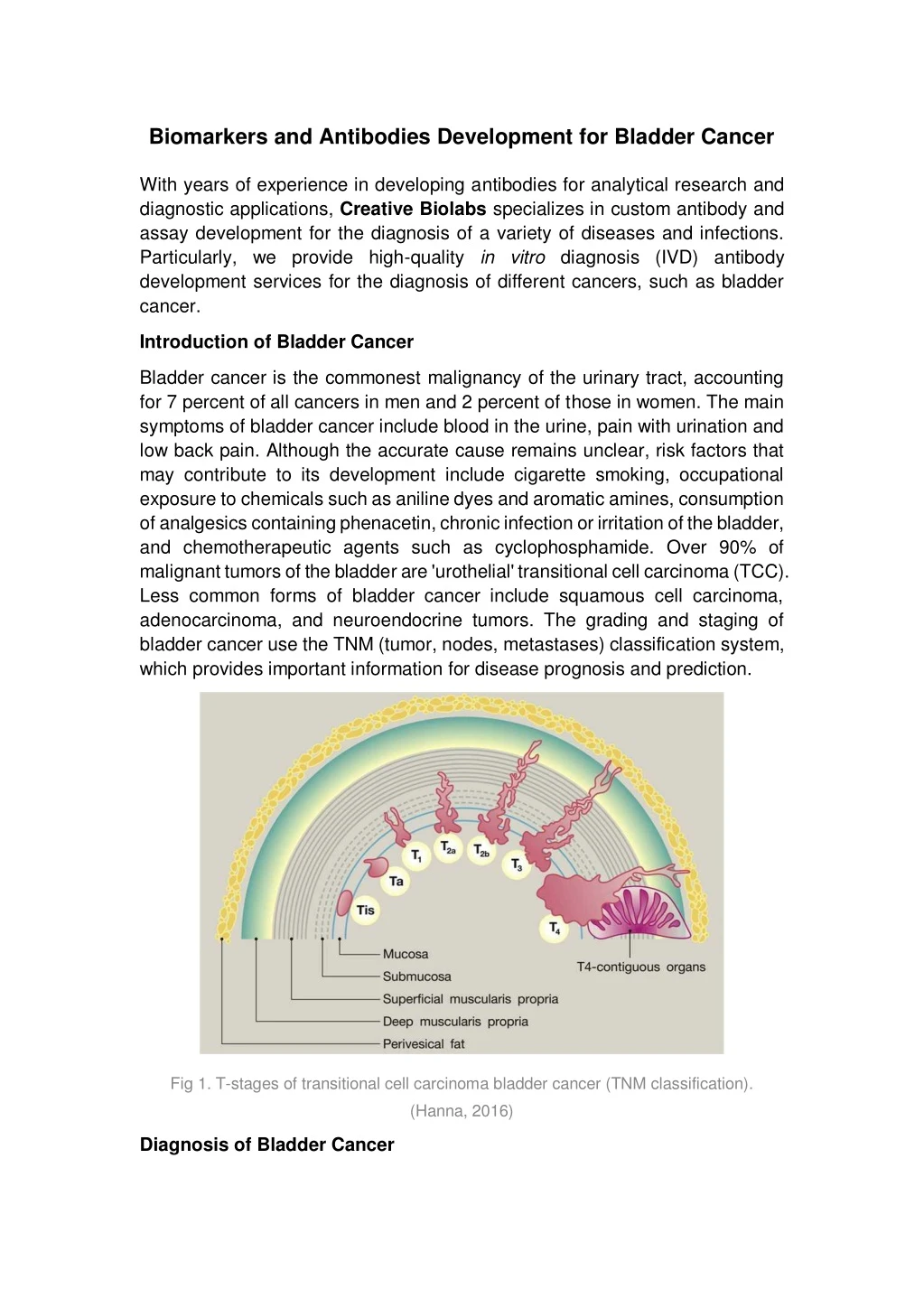 biomarkers and antibodies development for bladder