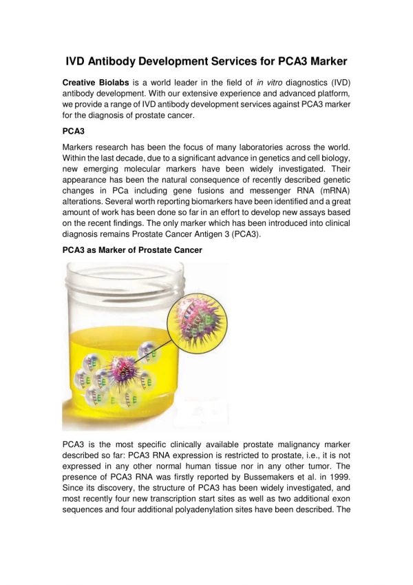 IVD Antibody Development Services for PCA3 Marker