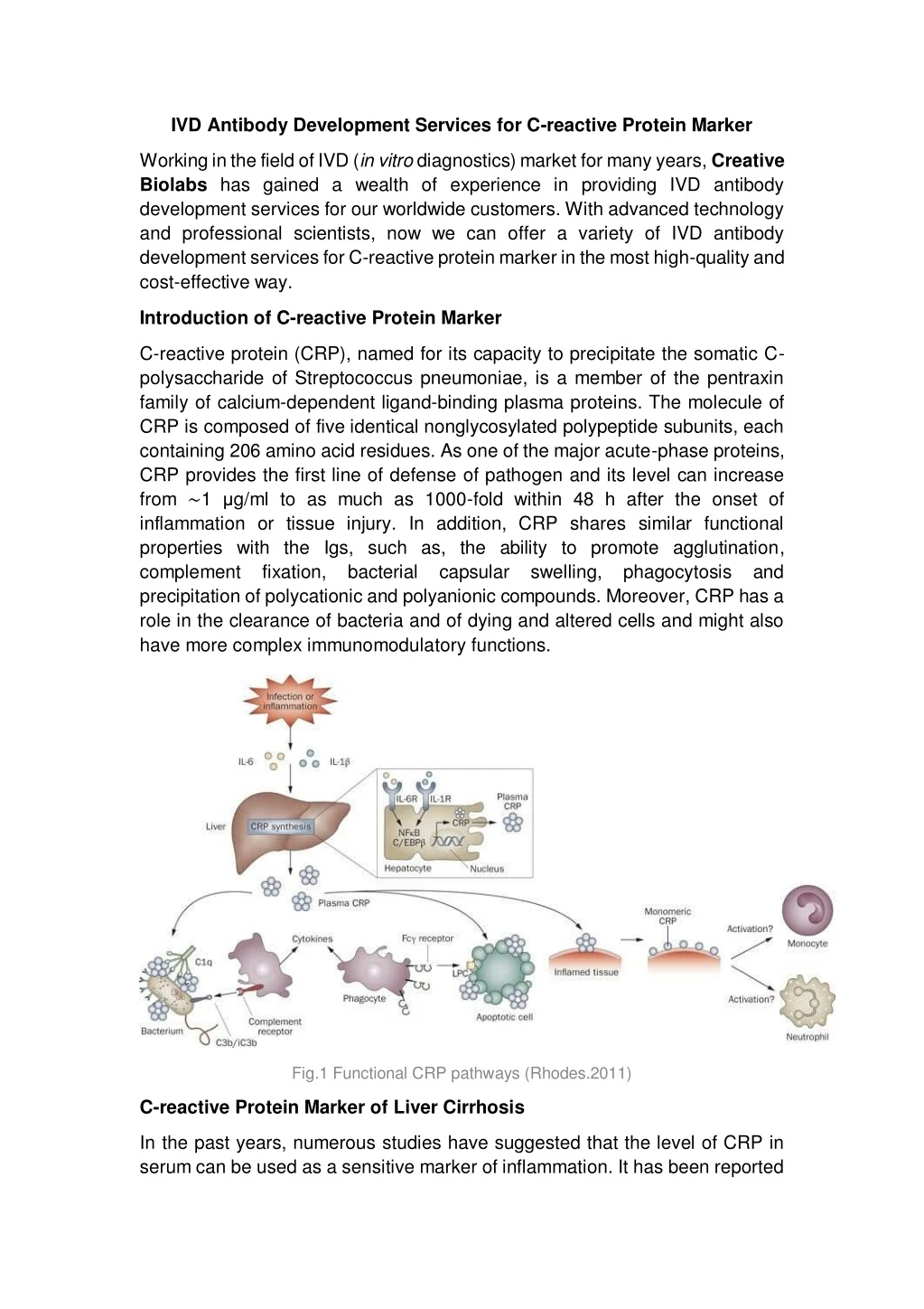 ivd antibody development services for c reactive