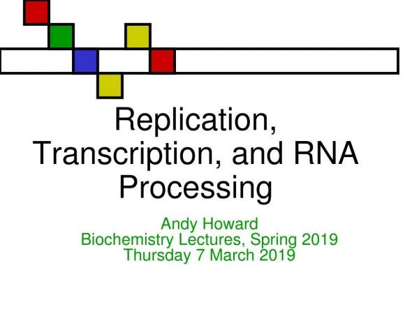Replication, Transcription, and RNA Processing