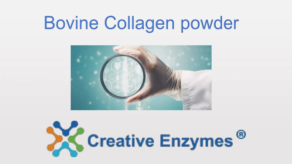 bovine collagen powder