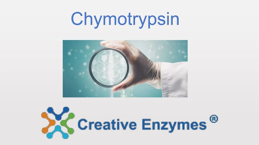 chymotrypsin