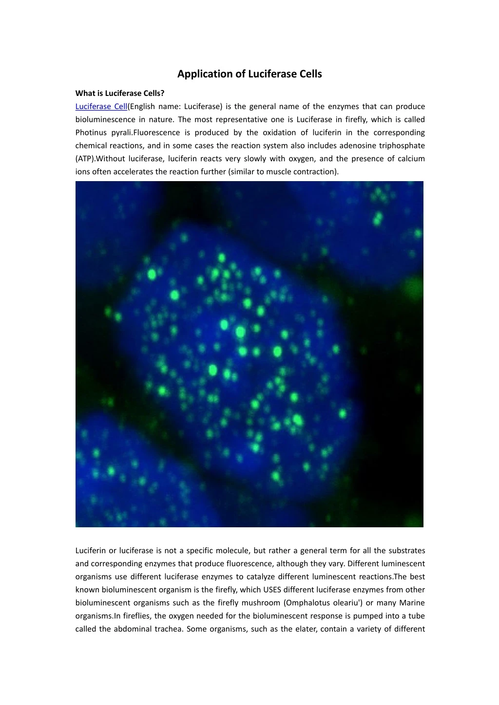 application of luciferase cells