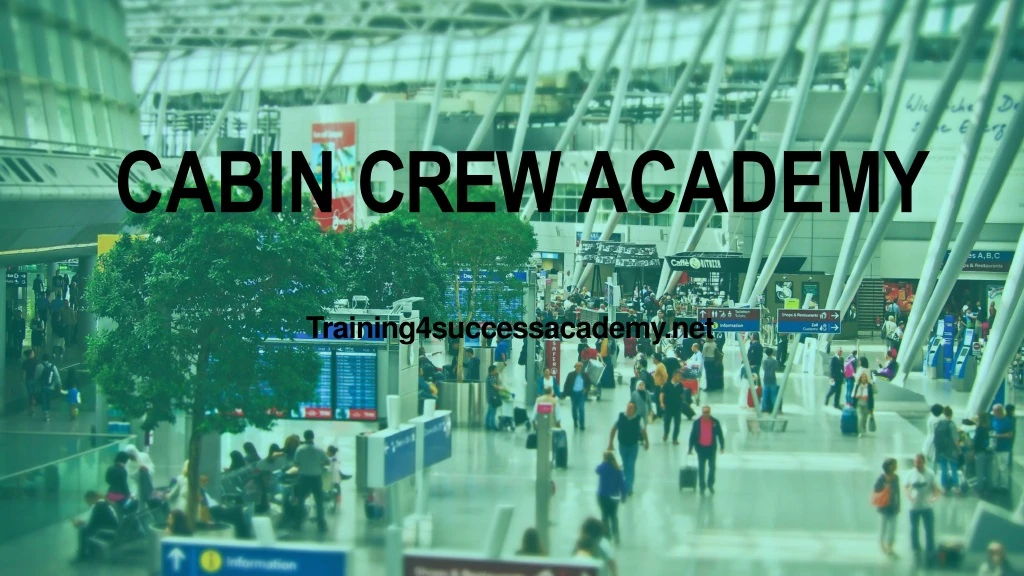 cabin crew academy