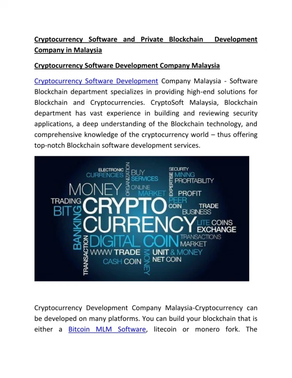 Cryptocurrency Software and Private Blockchain Development Company in Malaysia