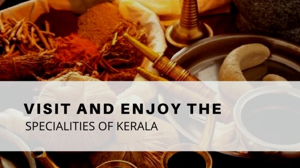 Visit and enjoy the places in kerala