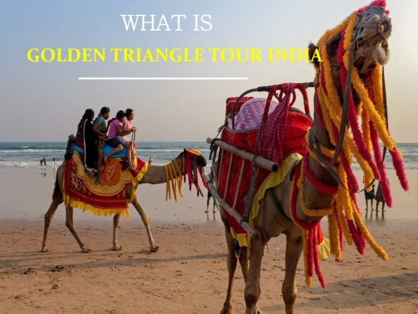 What is Golden Triangle Tour Of India?