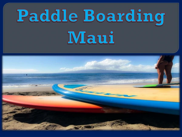 Paddle Boarding Maui