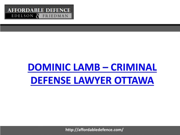 Dominic Lamb - Affordable Defence