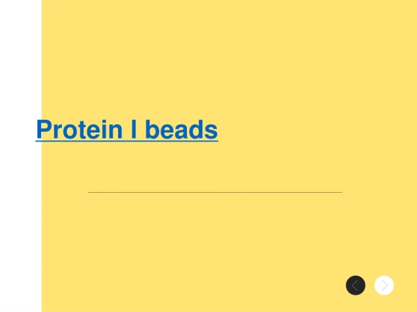 Protein l beads