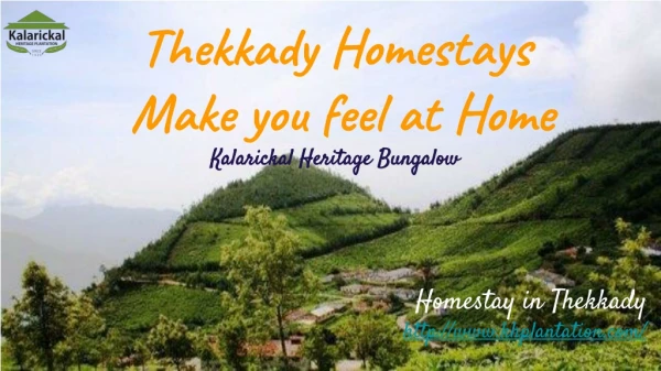 Thekkady Homestays make you feel at home