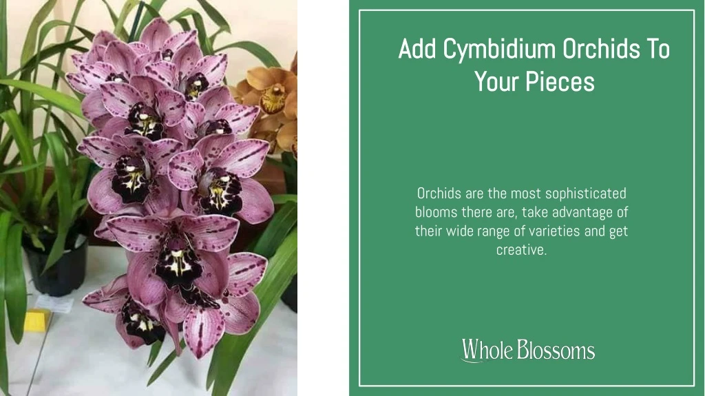 add cymbidium orchids to your pieces