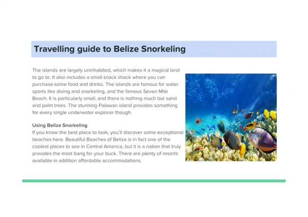 Travelling guide to Belize Snorkeling