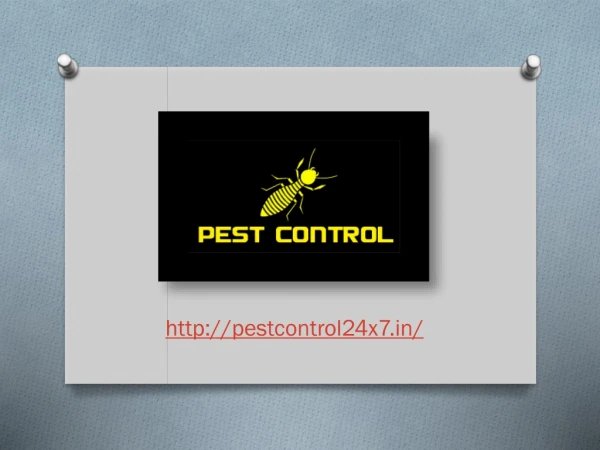 Choosing your Reliable Pest Control Service in Gurgaon