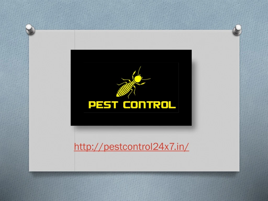 http pestcontrol24x7 in