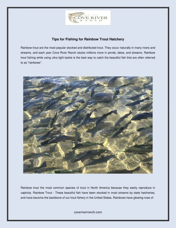 Tips for Fishing for Rainbow Trout Hatchery