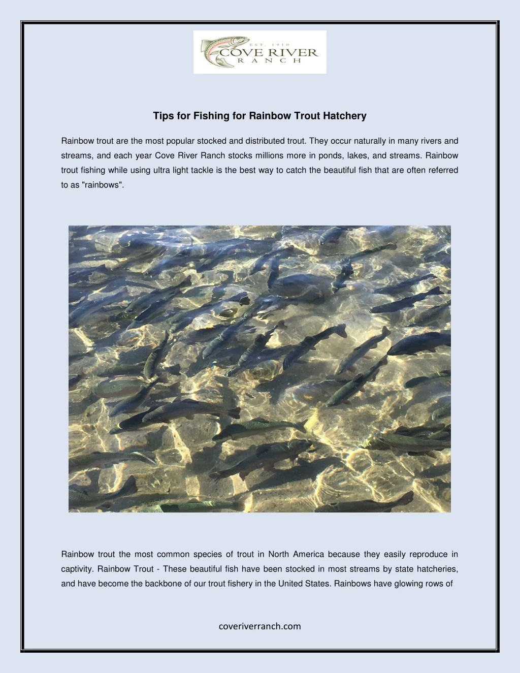 tips for fishing for rainbow trout hatchery