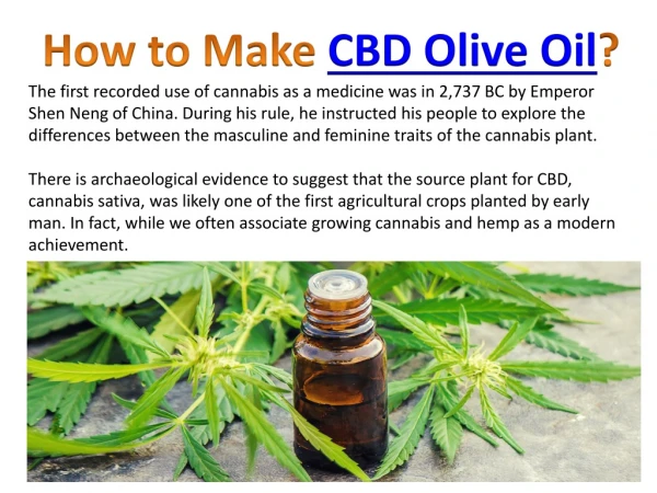 How to Make CBD Olive Oil?