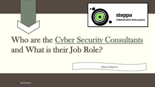 Who are the Cyber Security Consultants and what is their job role?