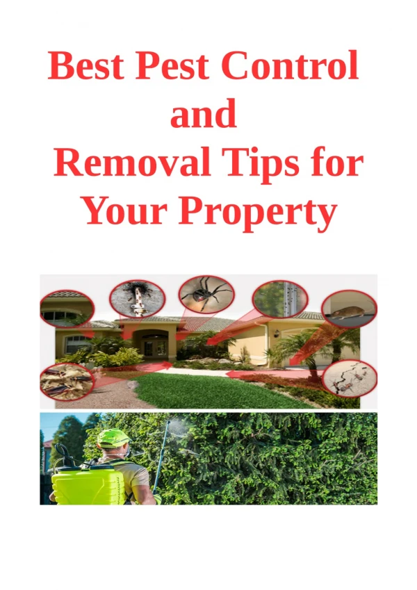 Best Pest Control and Removal Tips for Your House