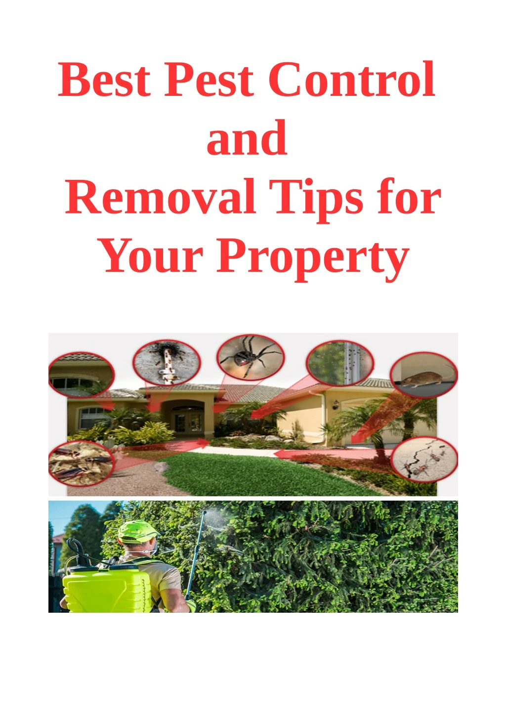 best pest control and removal tips for your
