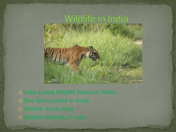 Get a Glimpse of Wildlife Sanctuaries in India