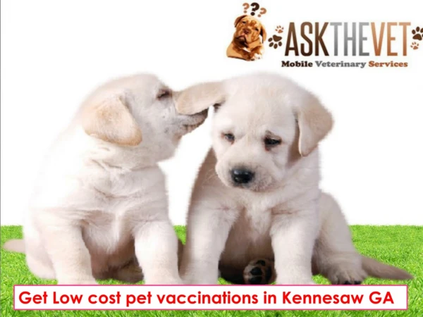 Get Low cost pet vaccinations in Kennesaw GA