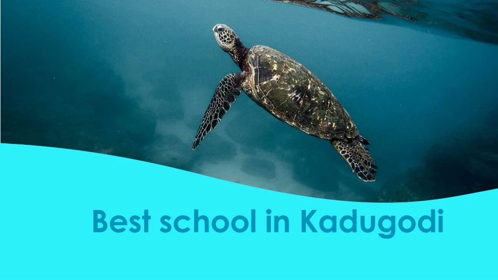 best school in kadugodi