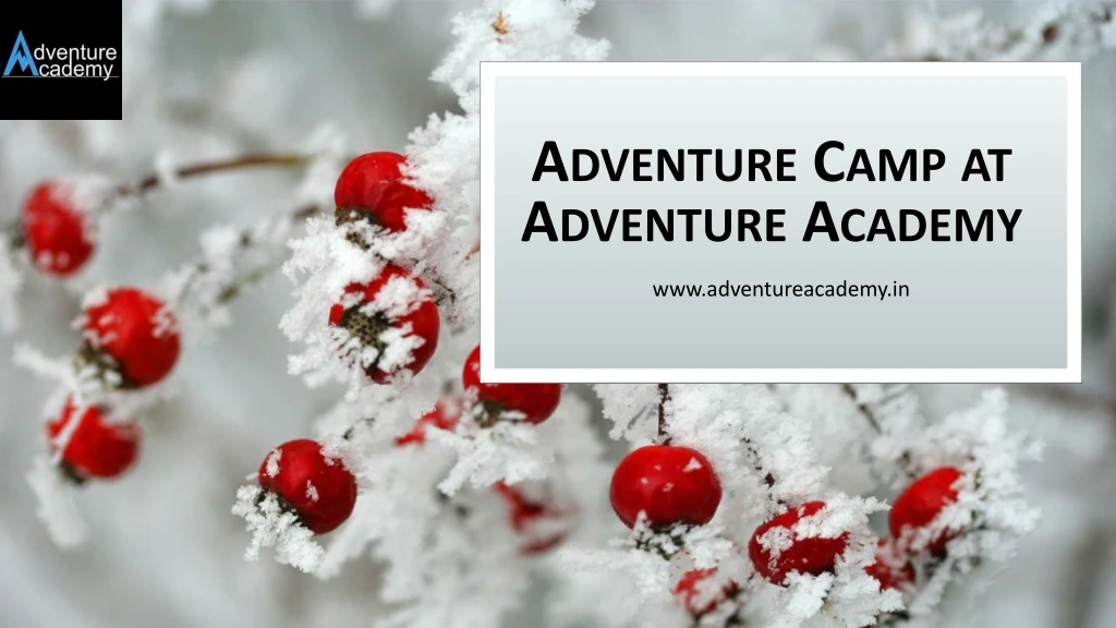 adventure camp at adventure academy