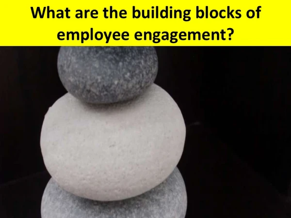 The Manager's Pyramid of Employee Engagement