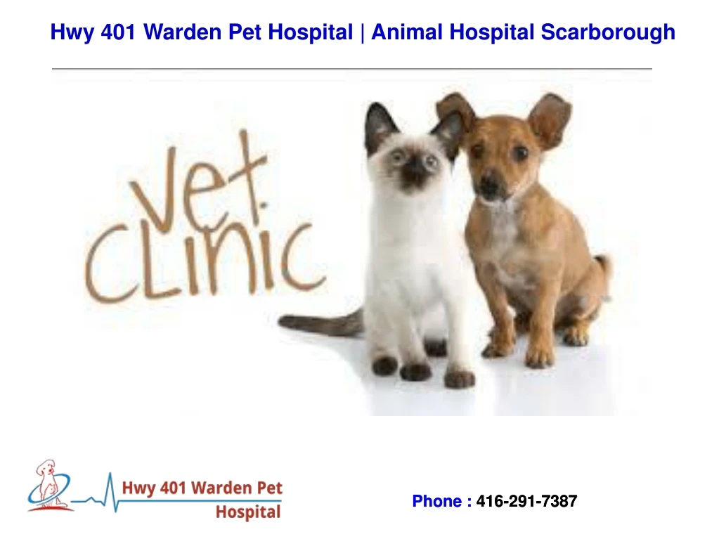 hwy 401 warden pet hospital animal hospital