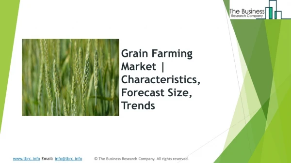 Grain Farming Market | Characteristics, Forecast Size, Trends